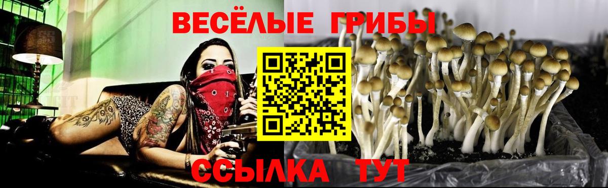 Псилоцибиновые грибы мицелий  Псилоцибиновые грибы Cubensis  Богородск  Вход с VPN 