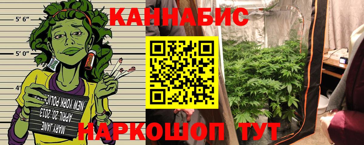 Конопля AK-47  Шишки марихуана OG Kush  Бошки марихуана White Widow  Вход с VPN  Марихуана ГИДРОПОН  Богородск 